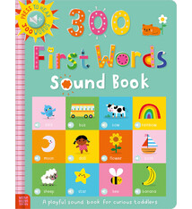 Make Believe Ideas 300 First Words Sound Book