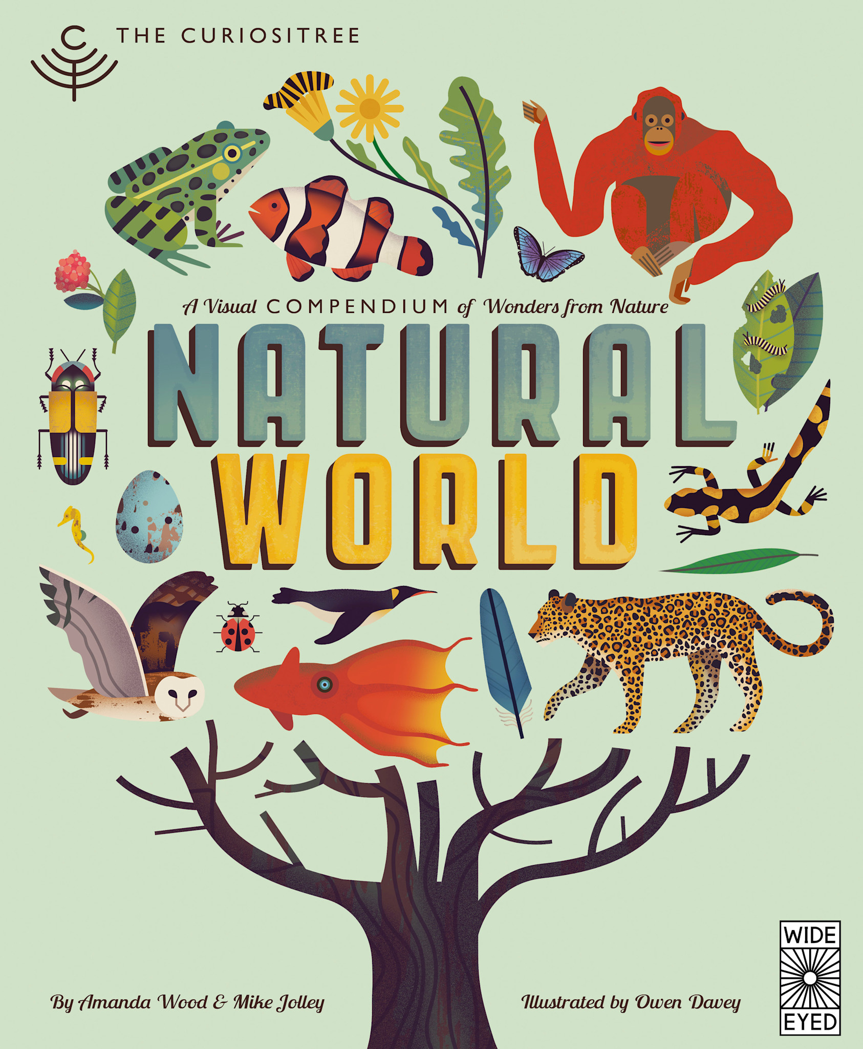 Wide Eyed Editions Curiositree: Natural World: A Visual Compendium of Wonders from Nature