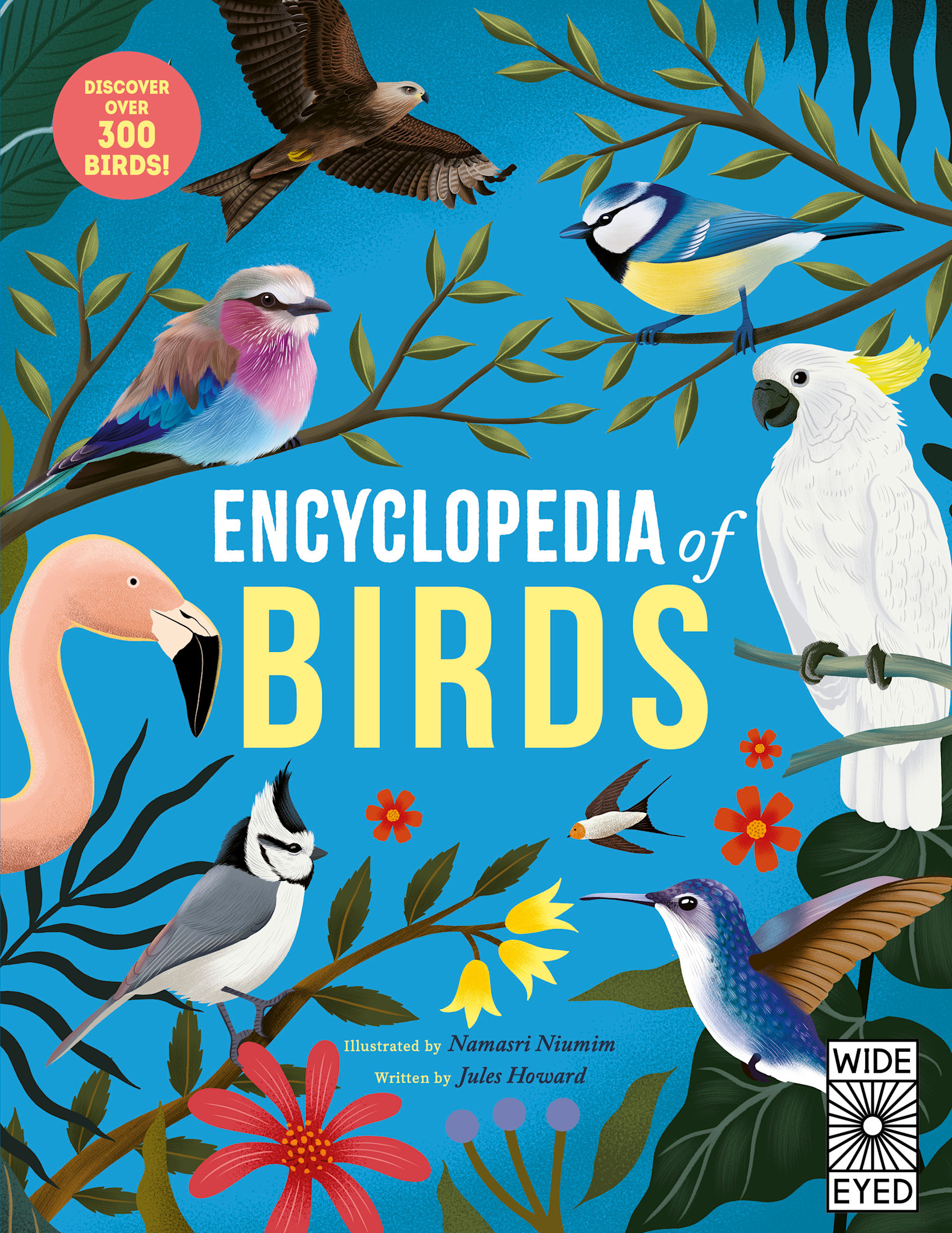 Wide Eyed Editions Encyclopedia of Birds