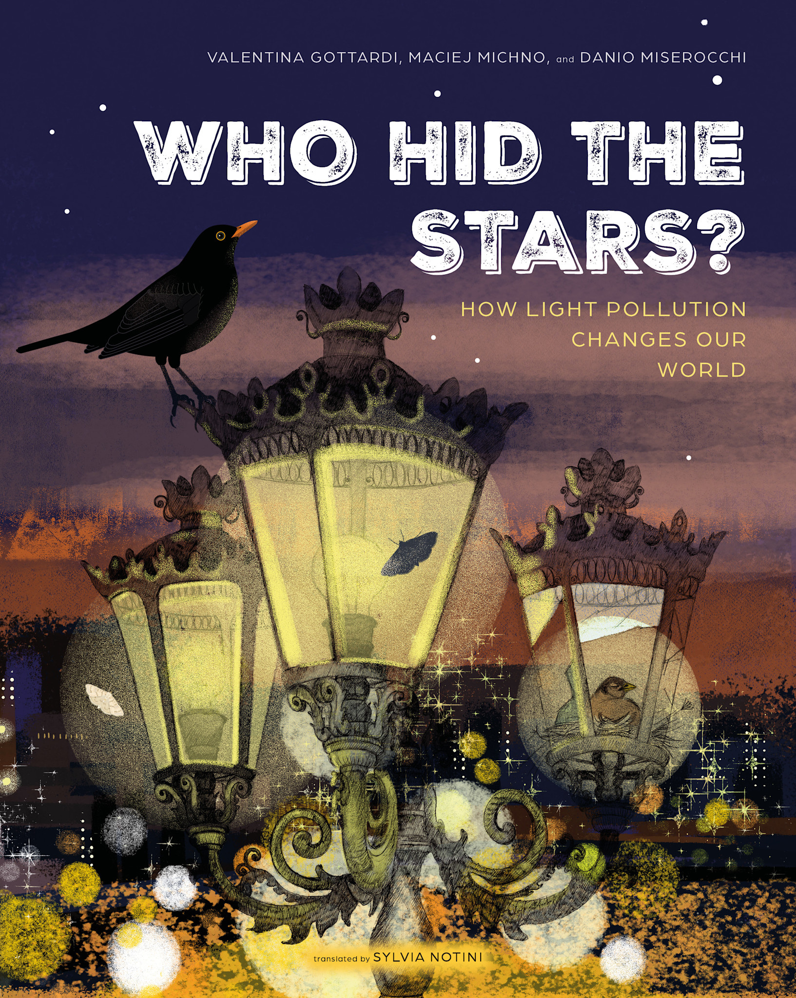 Eerdmans Books for Young Readers Who Hid the Stars?: How Light Pollution Changes Our World