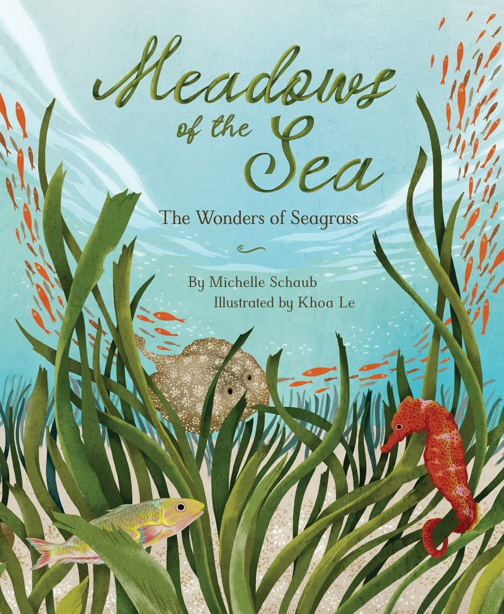 Sleeping Bear Press Meadows of the Sea: The Wonders of Seagrass