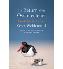 The Return of the Oystercatcher: Saving Birds to Save the Planet