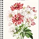 New York Botanical Garden 2027 Planner