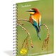 Workman Publishing Company Audubon Engagement Calendar 2027: A Tribute to Nature and Its Spectacular Landscapes