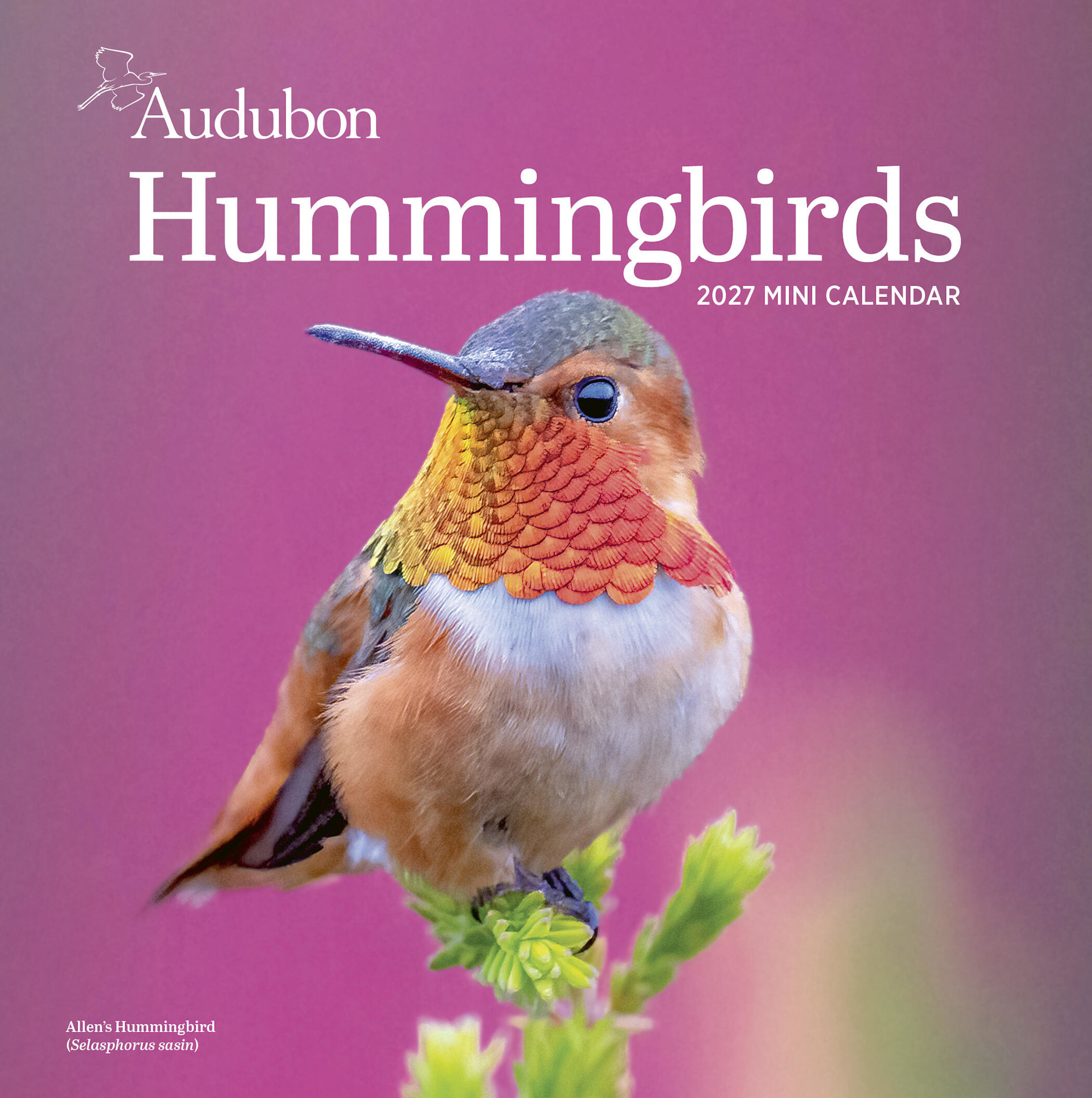 Workman Publishing Company Audubon Hummingbirds Mini Wall Calendar 2027