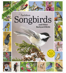 Workman Publishing Company Audubon Songbirds and Other Backyard Birds Picture-A-Day® Wall Calendar 2027