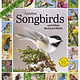 Workman Publishing Company Audubon Songbirds and Other Backyard Birds Picture-A-Day® Wall Calendar 2027
