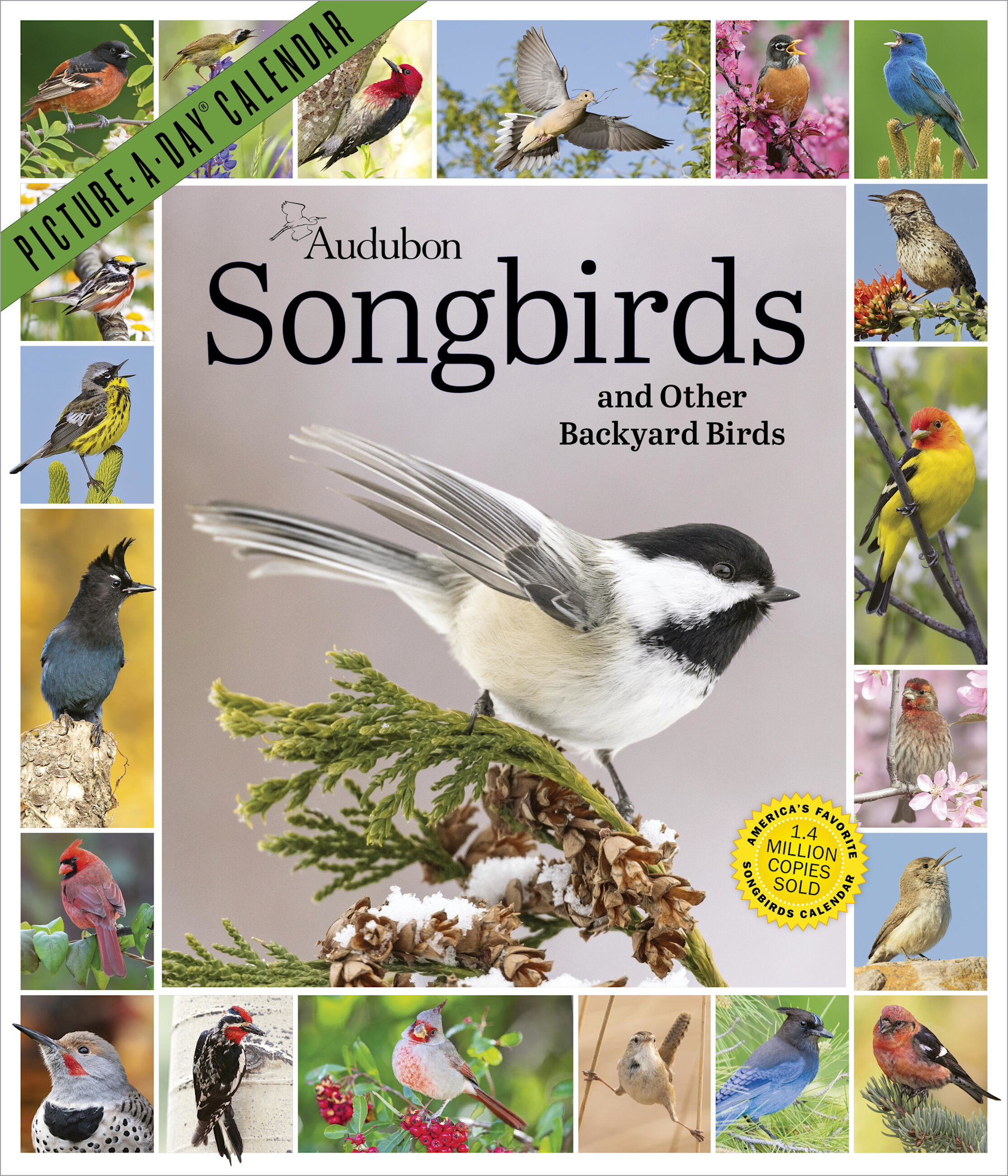 Workman Publishing Company Audubon Songbirds and Other Backyard Birds Picture-A-Day® Wall Calendar 2027