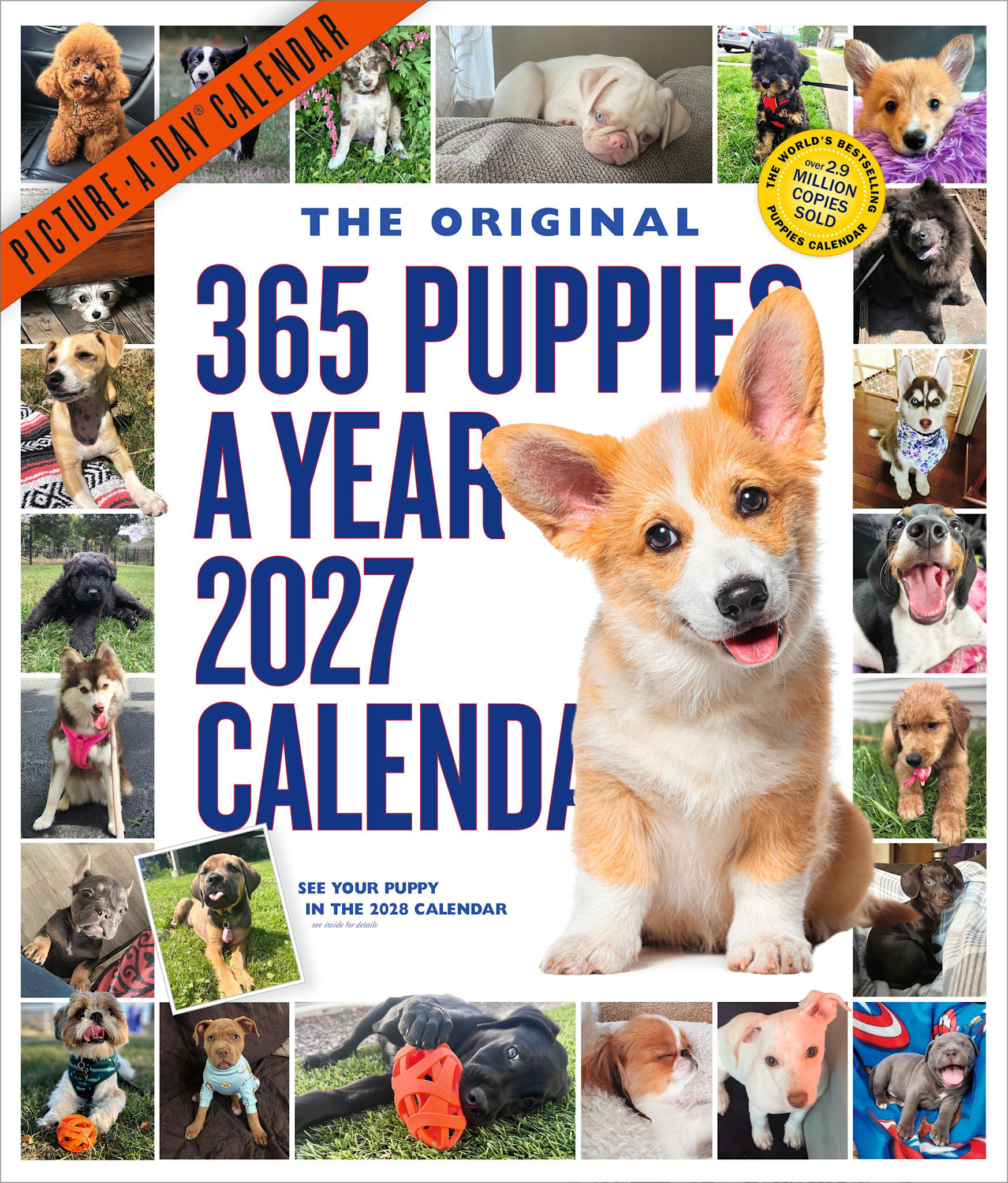 Workman Publishing Company 365 Puppies-A-Year Picture-A-Day® Wall Calendar 2027: The World's Favorite Puppy Calendar