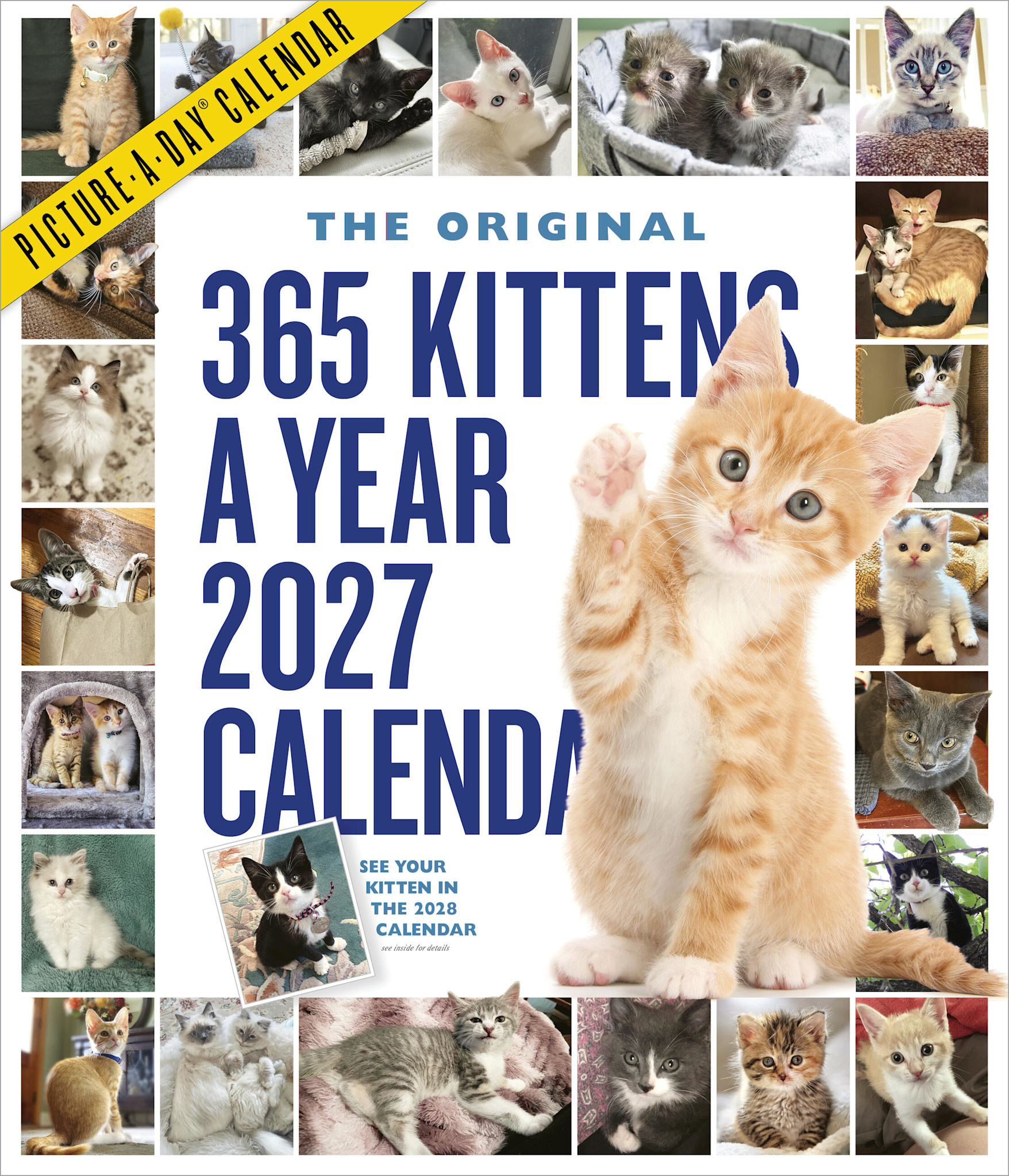 Workman Publishing Company 365 Kittens-A-Year Picture-A-Day® Wall Calendar 2027: The World's Favorite Kitten Calendar