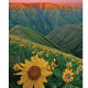 Sierra Club Sierra Club Engagement Calendar 2027