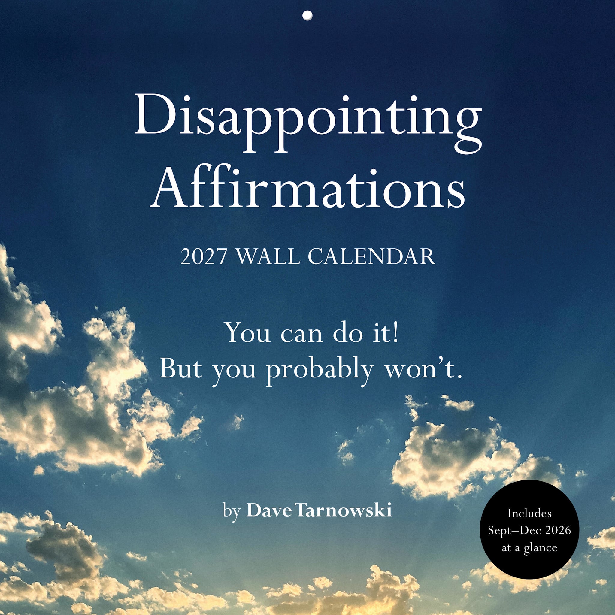 Chronicle Books Disappointing Affirmations 2027 Wall Calendar