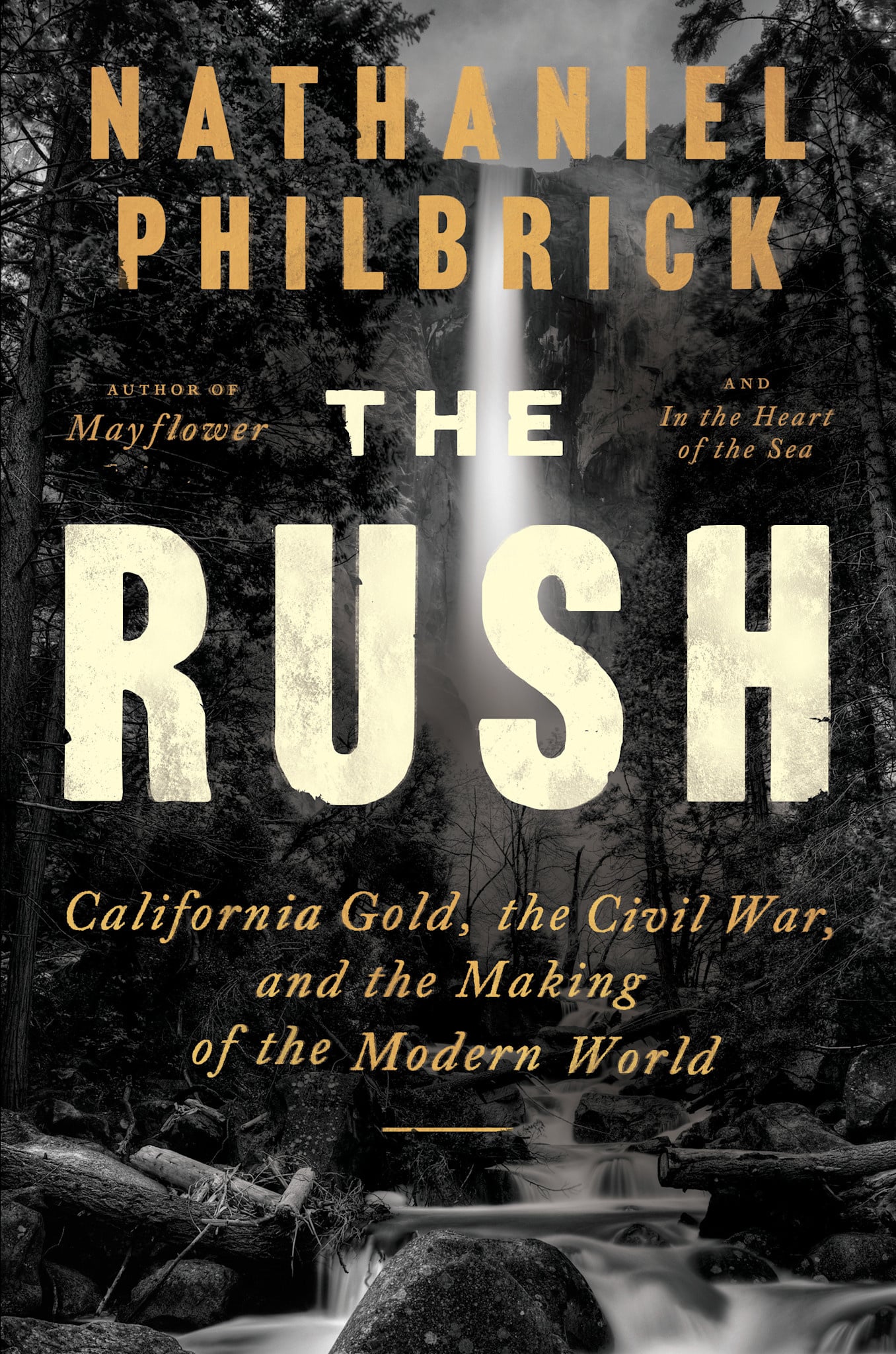 Viking The Rush: California Gold, the Civil War, and the Making of the Modern World
