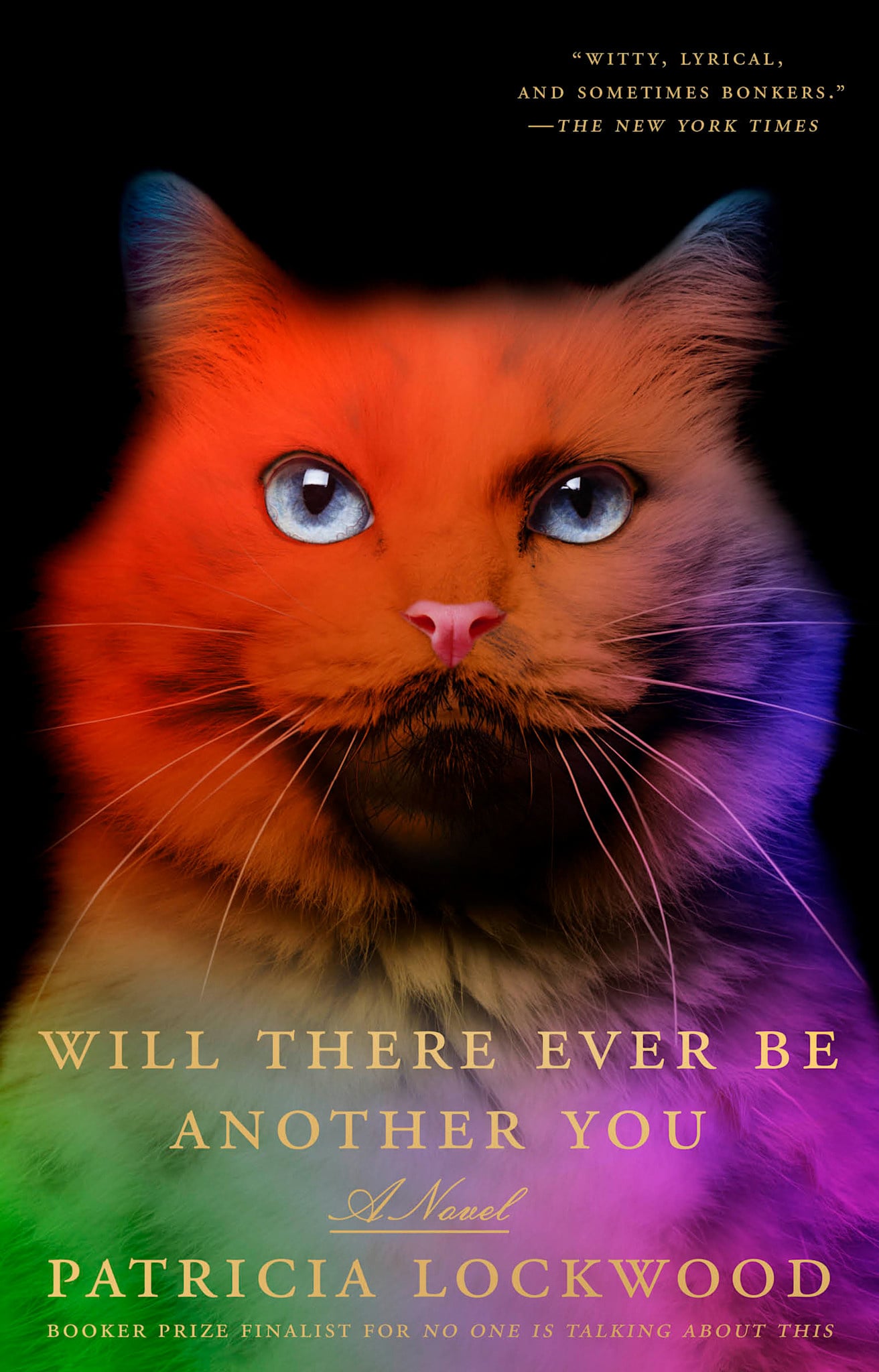 Riverhead Books Will There Ever Be Another You: A Novel