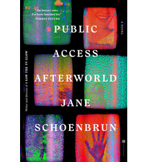 Hogarth Public Access Afterworld: A Novel