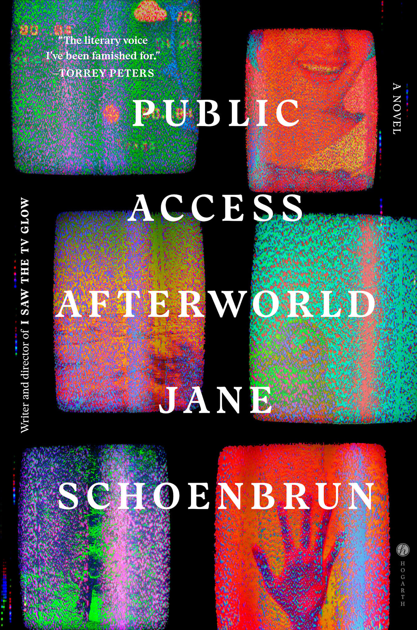Hogarth Public Access Afterworld: A Novel