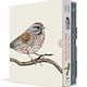 Clarkson Potter The Backyard Bird Collection [Special Edition, Book & Nature Journal Boxed Set]: A Deluxe Set of The Backyard Bird Chronicles and The Backyard Bird Journal