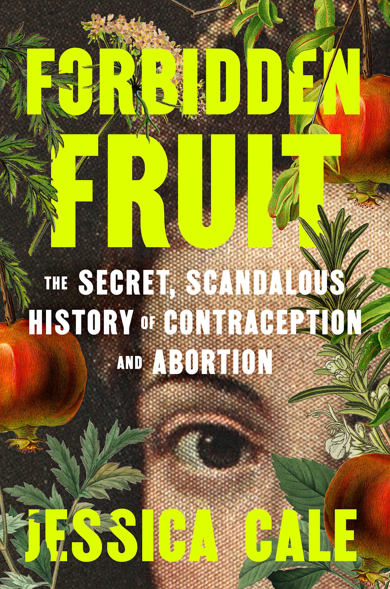 G.P. Putnam's Sons Forbidden Fruit: The Secret, Scandalous History of Contraception and Abortion