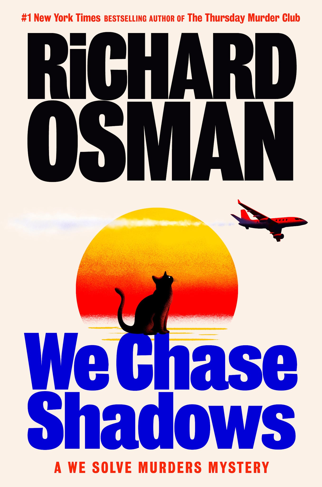 Pamela Dorman Books We Chase Shadows: A We Solve Murders Mystery