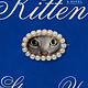 Random House Kitten