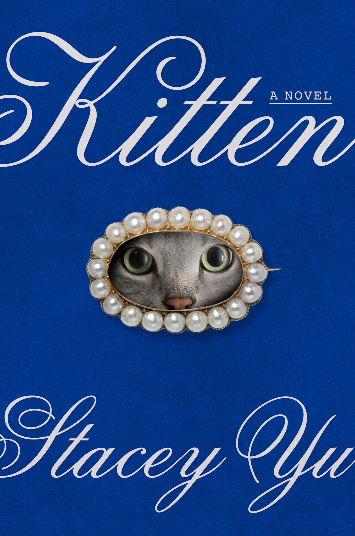Random House Kitten
