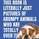 This Book Is Literally Just Pictures of Grumpy Animals Who Are Totally Over It