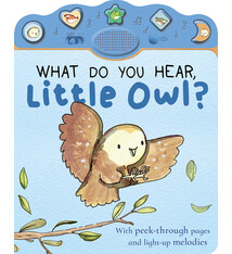 Tiger Tales What Do You Hear, Little Owl?
