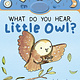 Tiger Tales What Do You Hear, Little Owl?