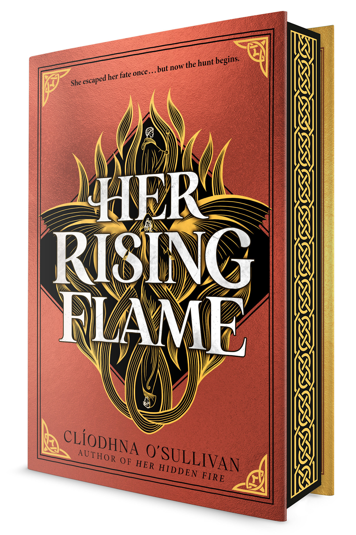 Viking Books for Young Readers Her Rising Flame