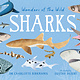 Wonders of the Wild: Sharks