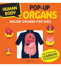 Human Body Pop-up ORGANS Major organs for Kids