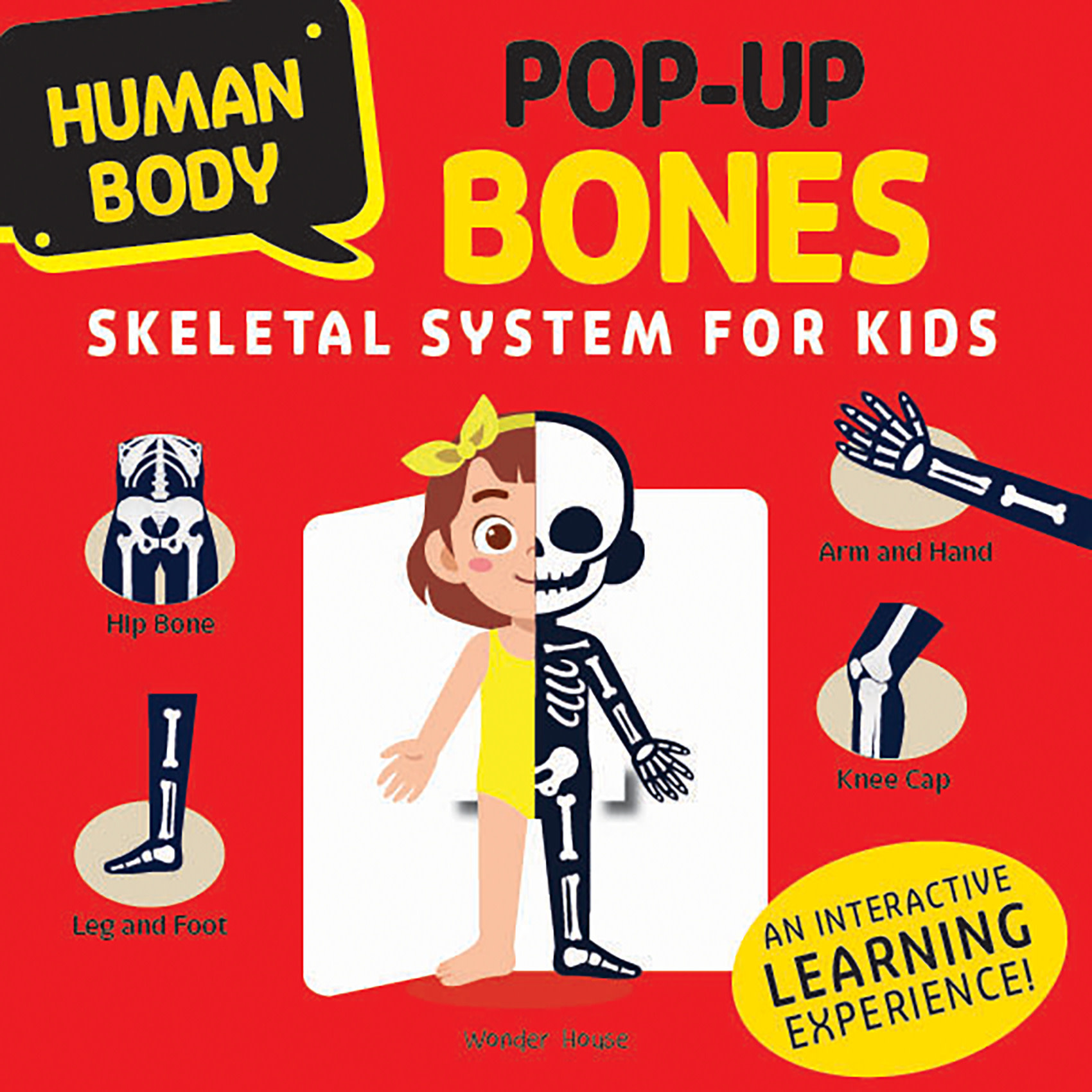 Human Body Pop-up BONES Skeletal System for Kids