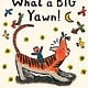 Clarion Books What a BIG Yawn!