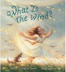 Clarion Books What Is the Wind?