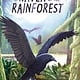 Greenwillow Books A Raven of the Rainforest