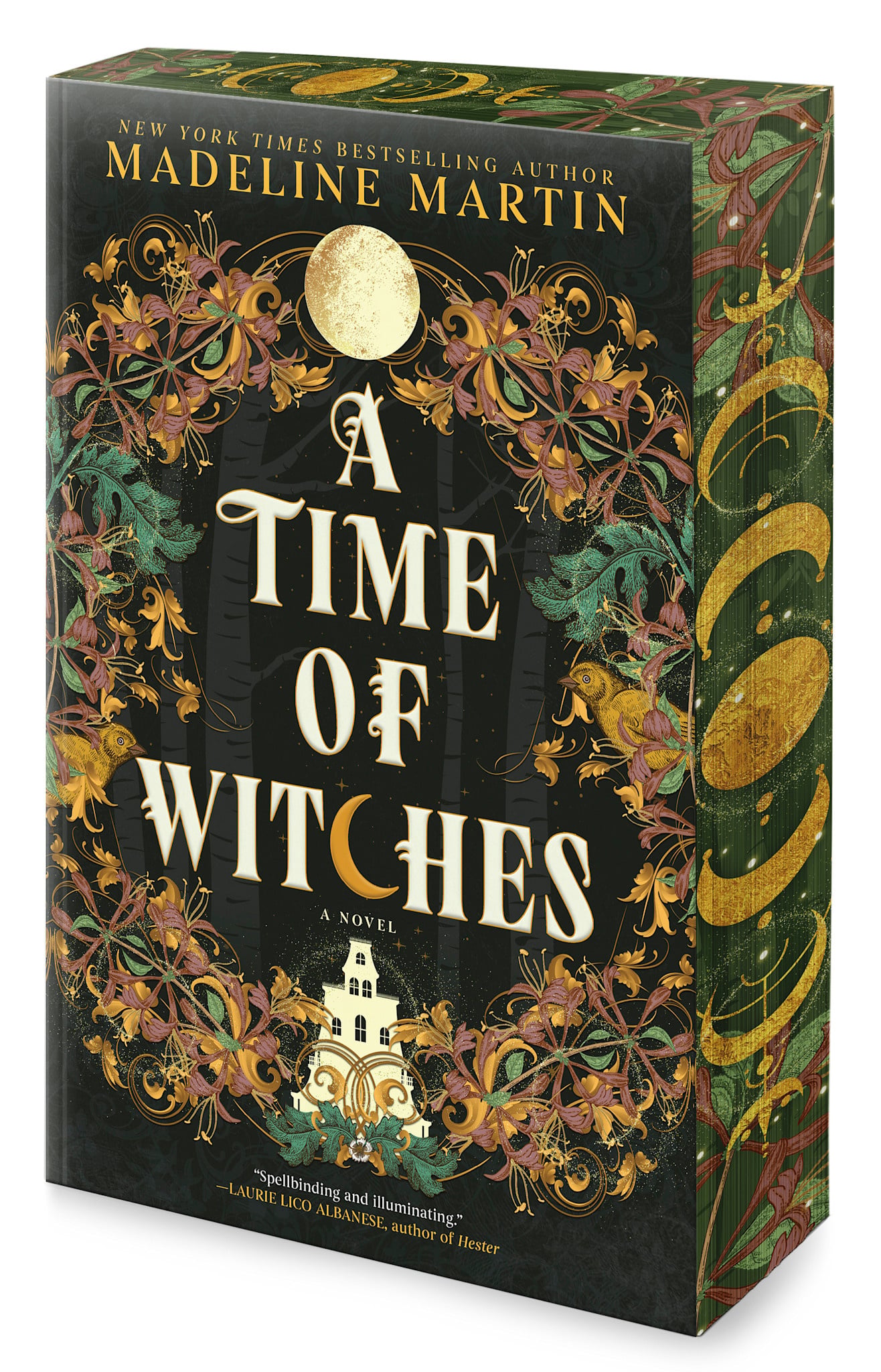 Hanover Square Press A Time of Witches: A Novel