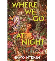 Where We Go at Night