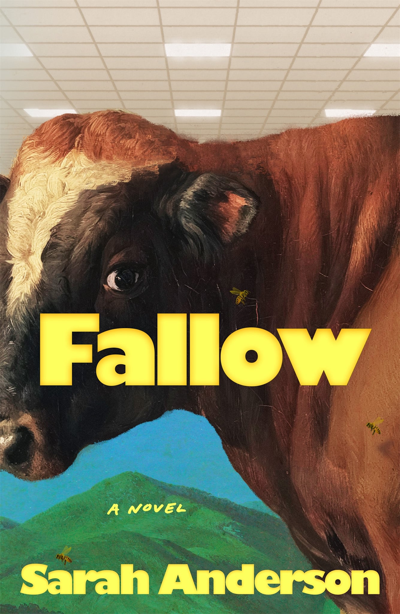 Farrar, Straus and Giroux Fallow: A Novel