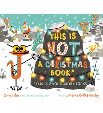 Farrar, Straus and Giroux (BYR) This Is Not a Christmas Book* (*This Is a Book About Rocks)