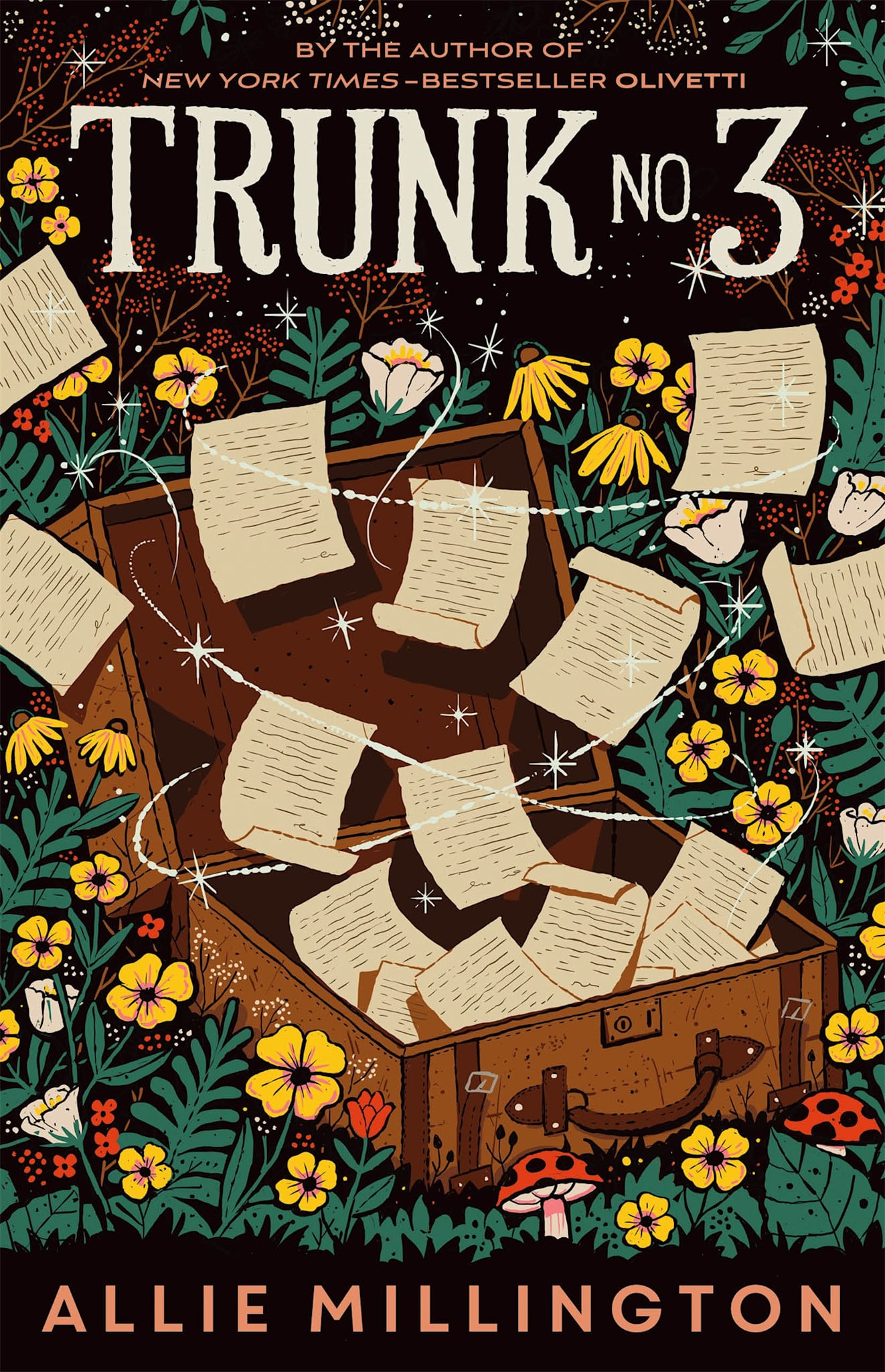 Feiwel & Friends Trunk No. 3: A Story About a Life-Changing Correspondence by the Author of Olivetti