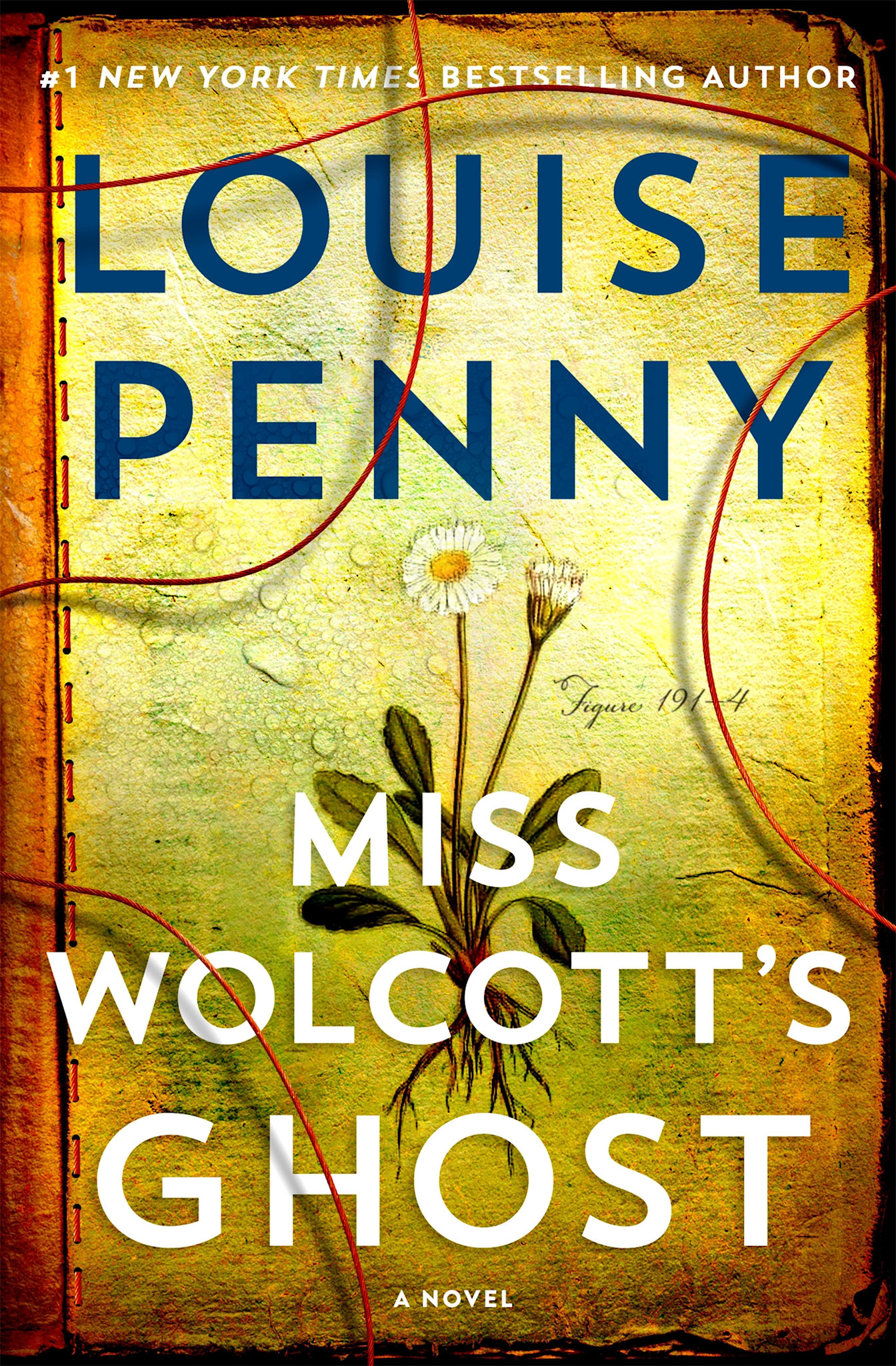 Minotaur Books Miss Wolcott's Ghost: A Novel