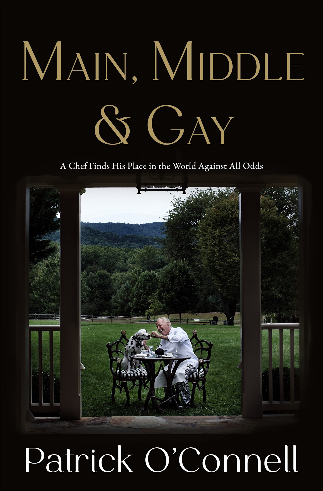 Celadon Books Main, Middle & Gay: A Chef Finds His Place in the World Against All Odds