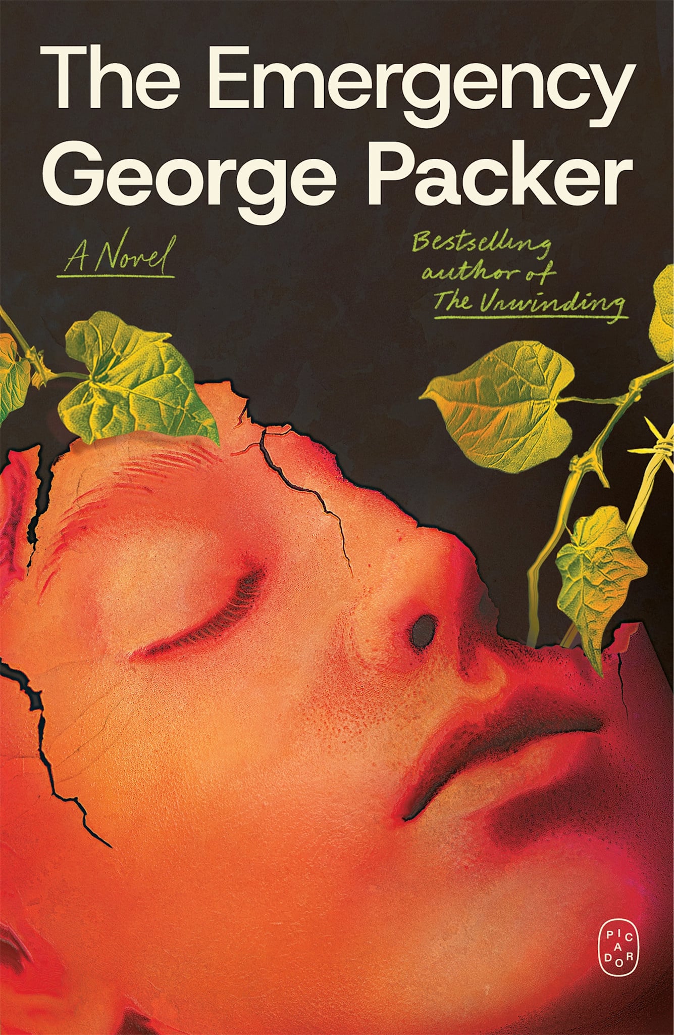 Picador The Emergency: A Novel