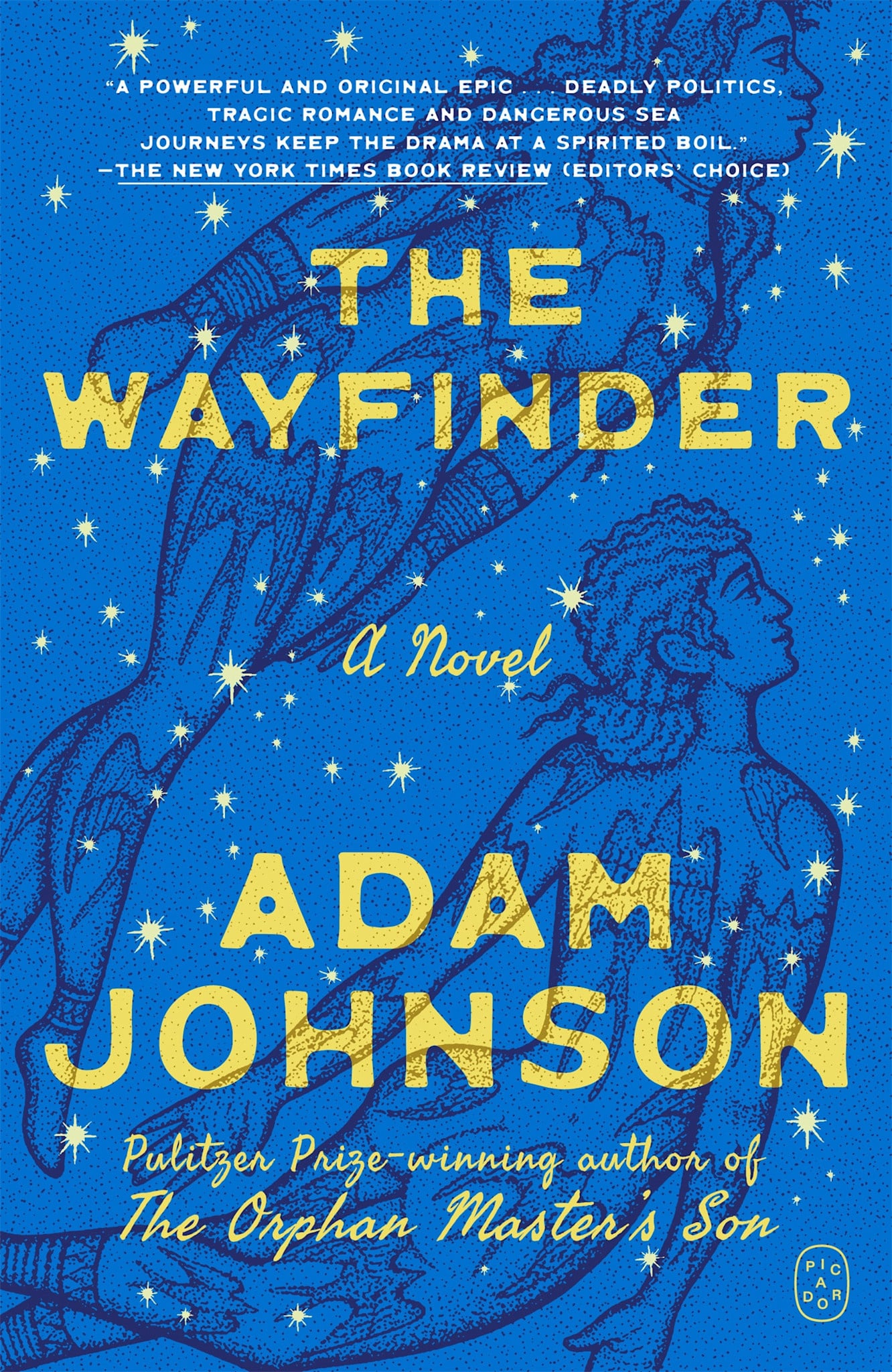 Picador The Wayfinder: A Novel