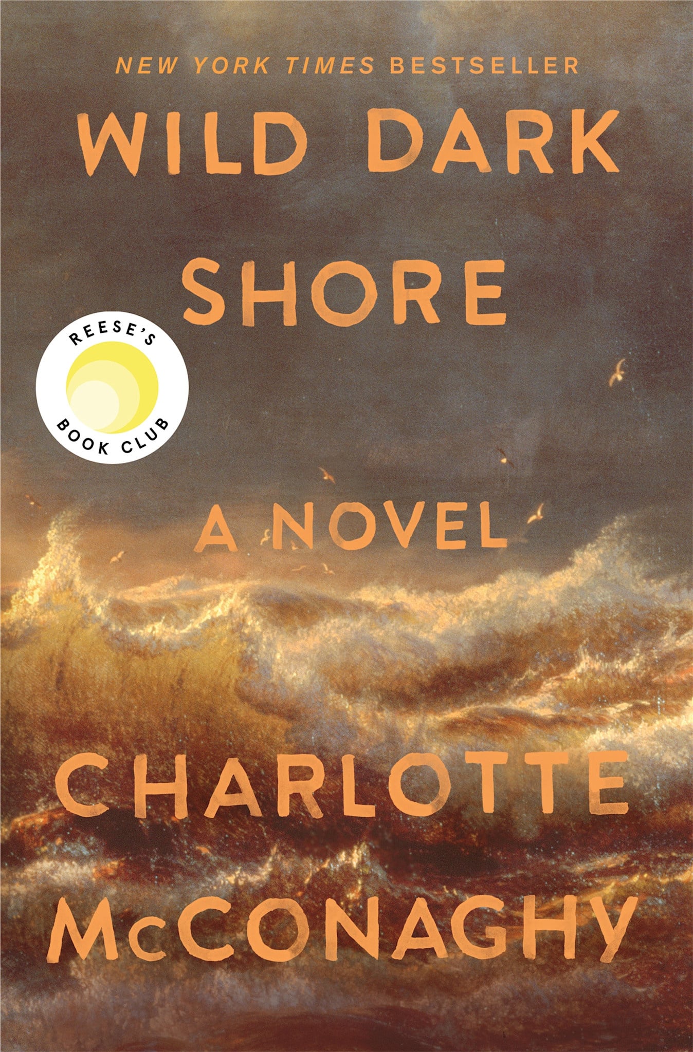 Flatiron Books Wild Dark Shore: Reese's Book Club Pick (A Novel)