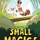 First Second Small Magics: A Graphic Novel