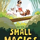 First Second Small Magics