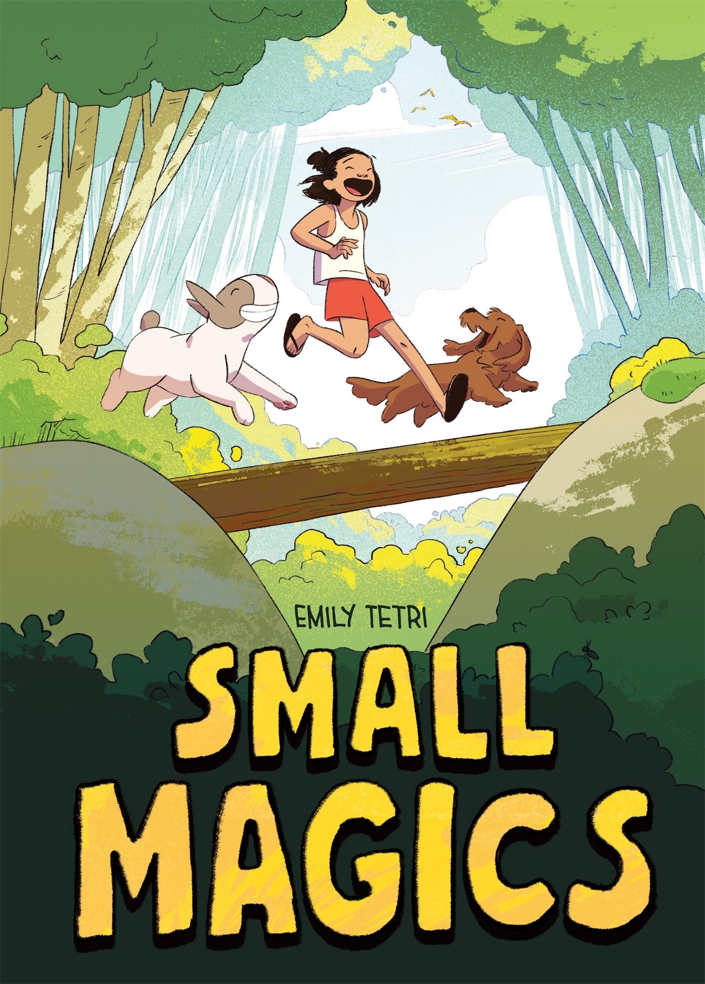 First Second Small Magics: A Graphic Novel