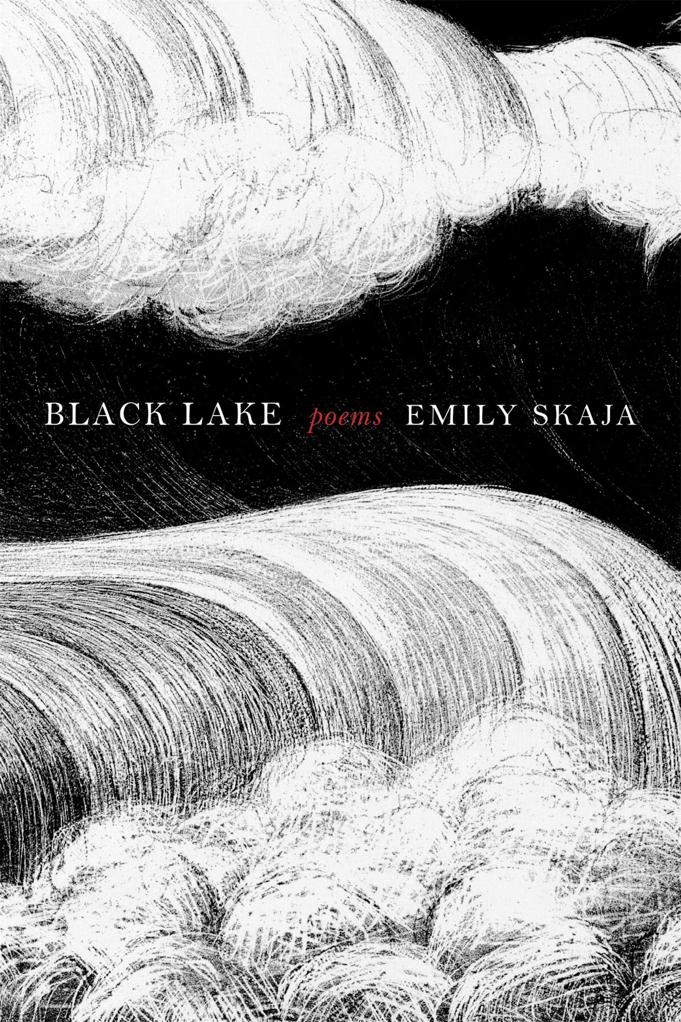 Graywolf Press Black Lake: Poems