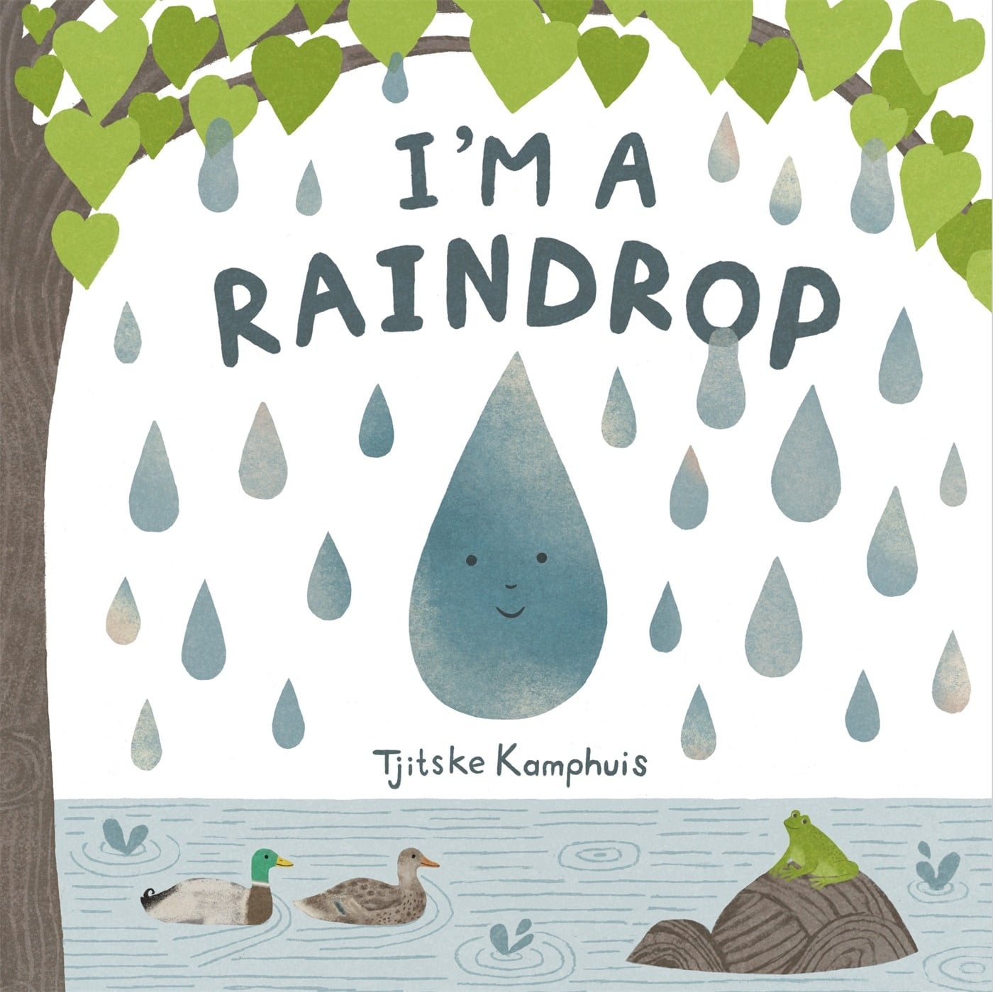 I'm a Raindrop